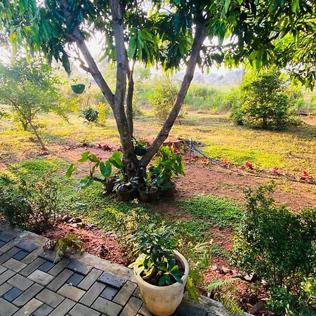 Fairview Dill Homestay Sigiriya Exterior foto