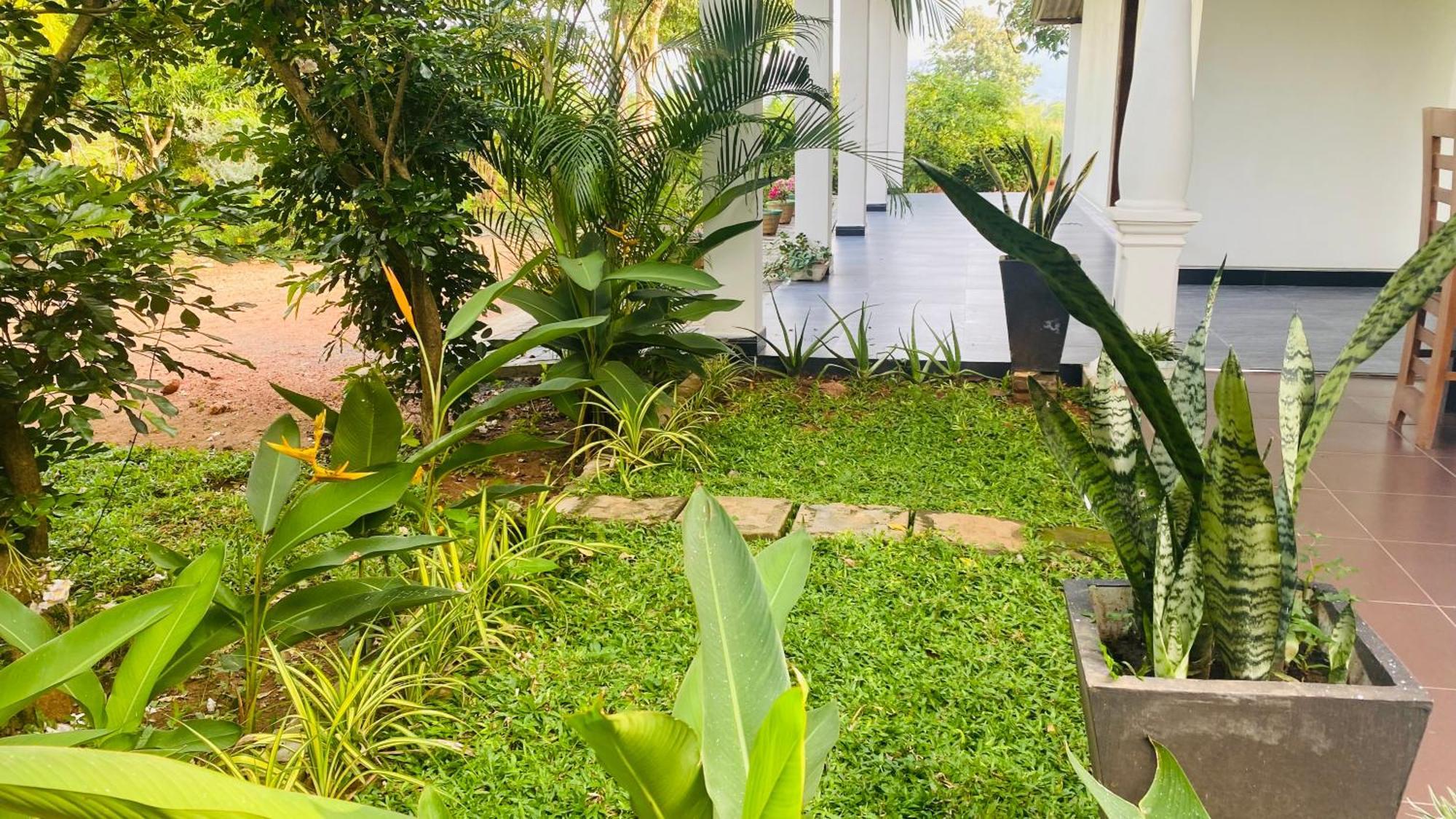 Fairview Dill Homestay Sigiriya Exterior foto