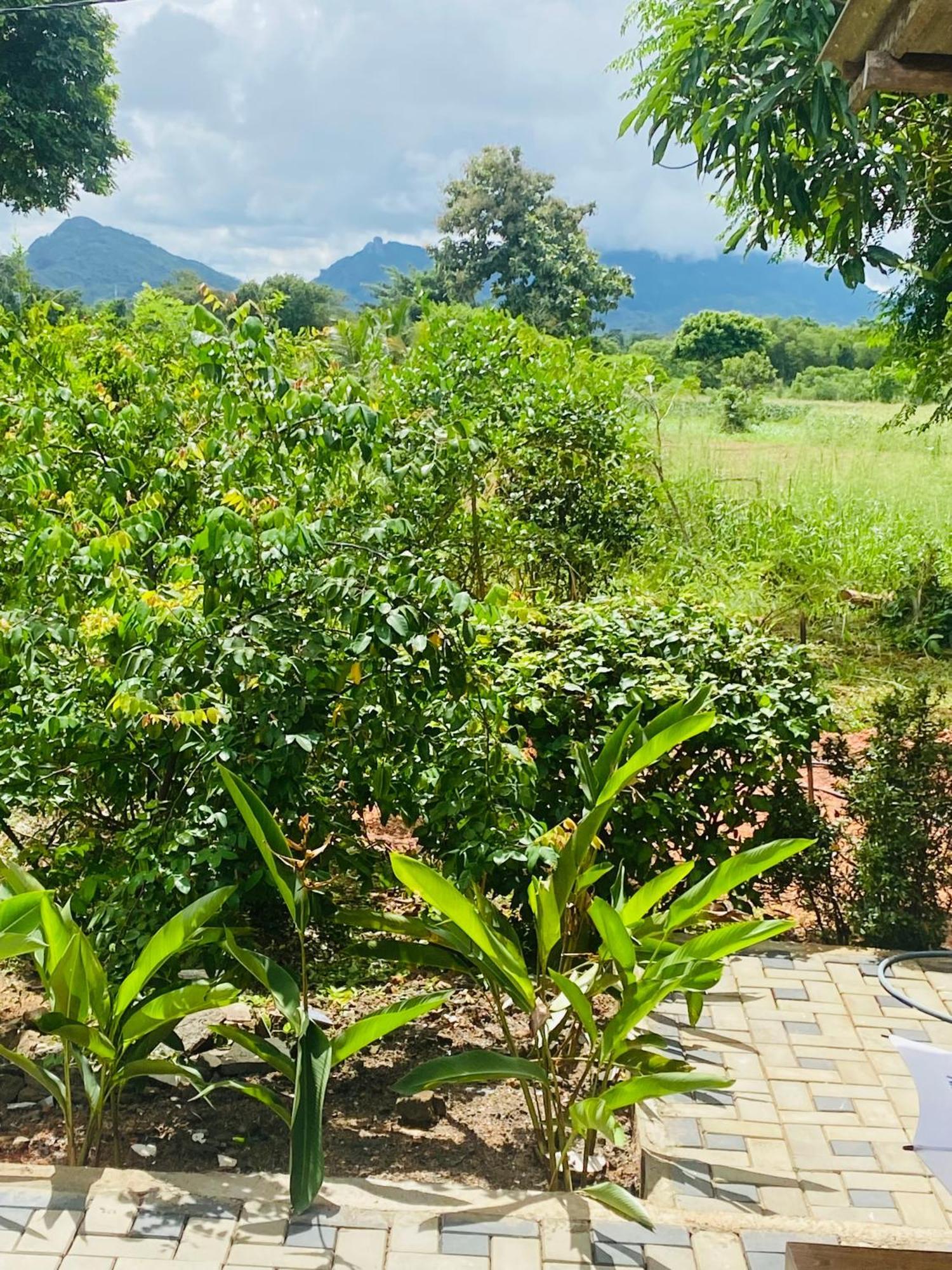 Fairview Dill Homestay Sigiriya Exterior foto