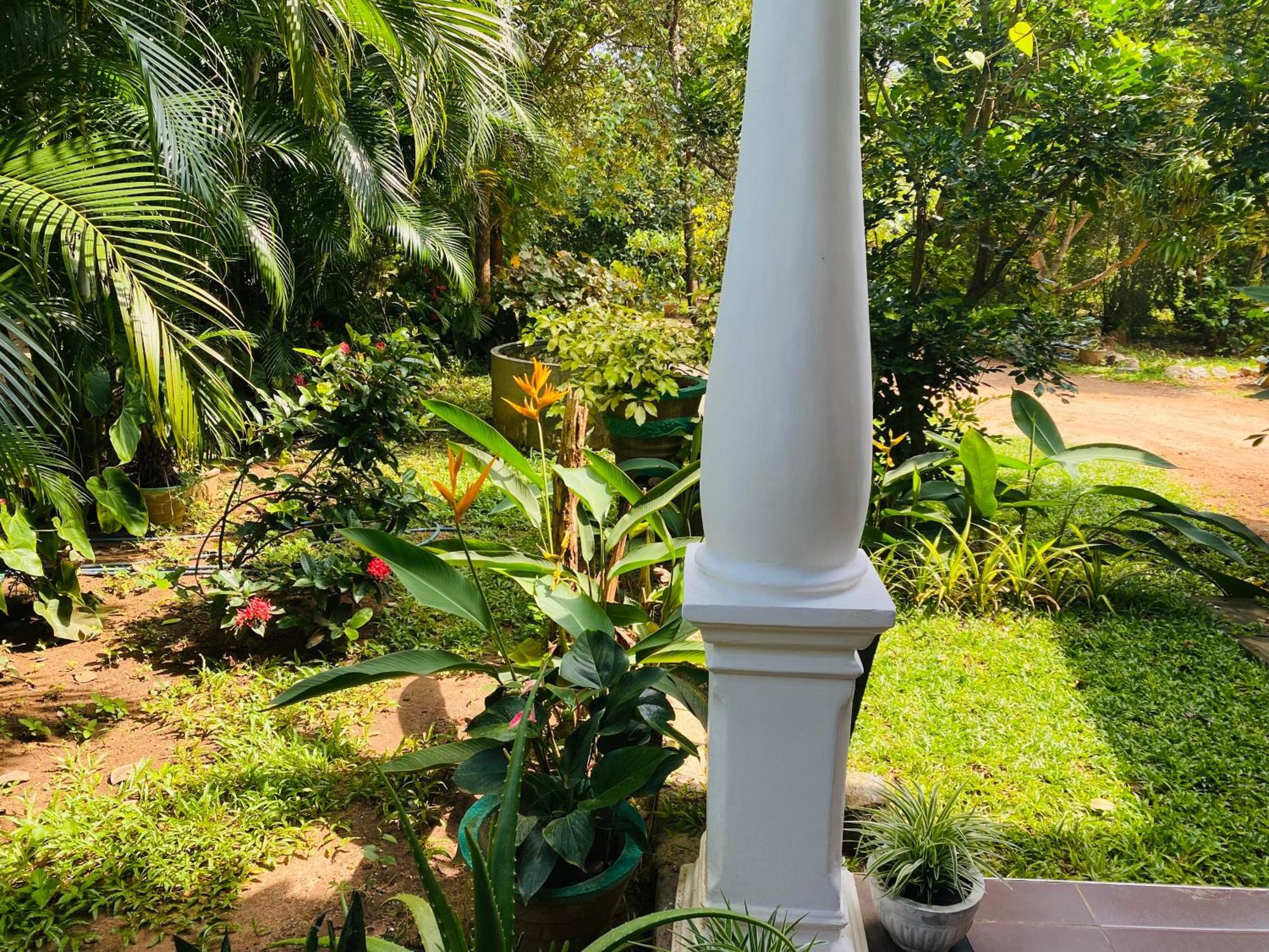 Fairview Dill Homestay Sigiriya Exterior foto