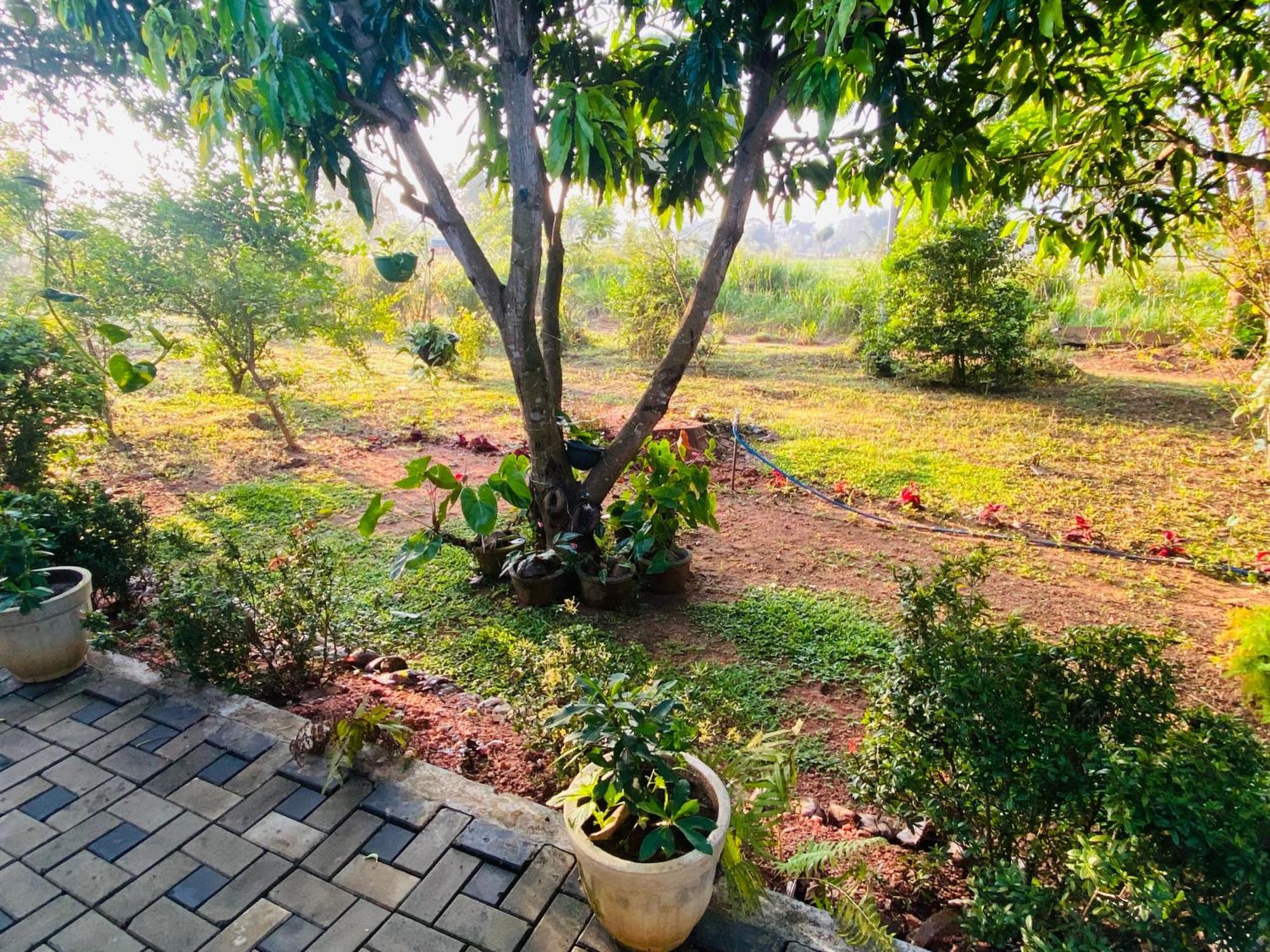 Fairview Dill Homestay Sigiriya Exterior foto